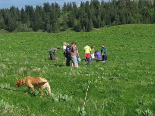 20090530 chasseral